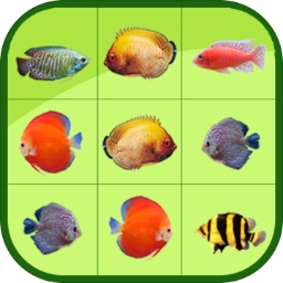 中欧体育app最新版本更新内容