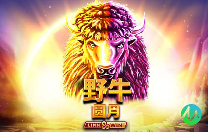 金贝体育官方网站入口